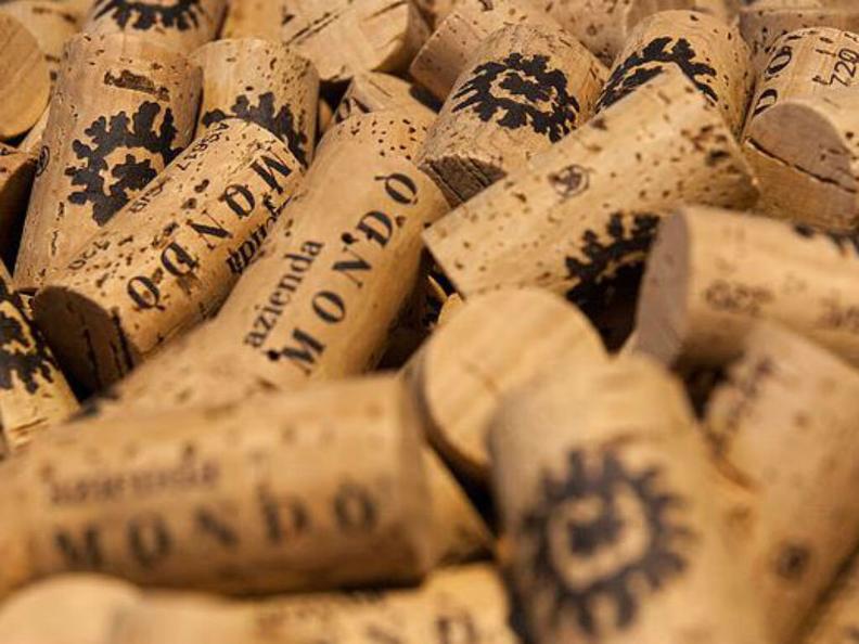 Image 0 - Azienda vinicola Mondò